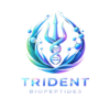 logo removebg preview
